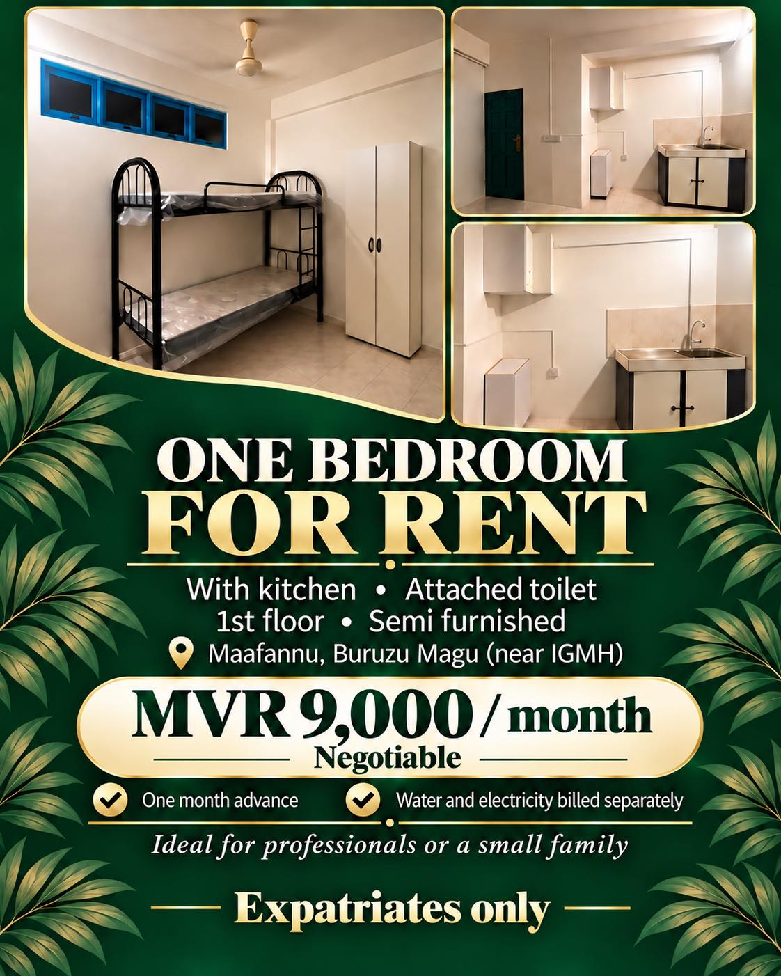 1 Bedroom Apartment in Maafannu — Maafannu