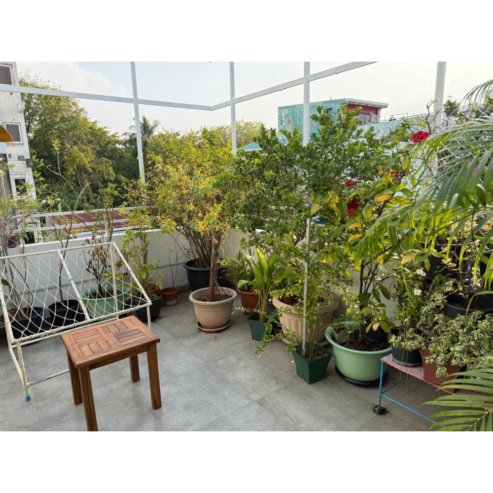 1 ROOM APARTMENT FOR DAILY RENT (Contact ) — Vilingili