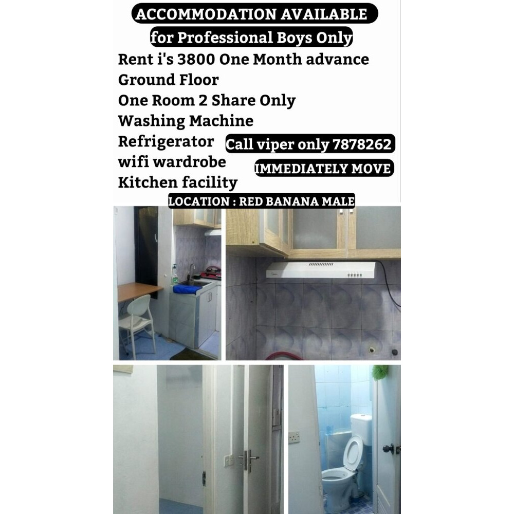 Room mate wanted — Malé — Henveiru