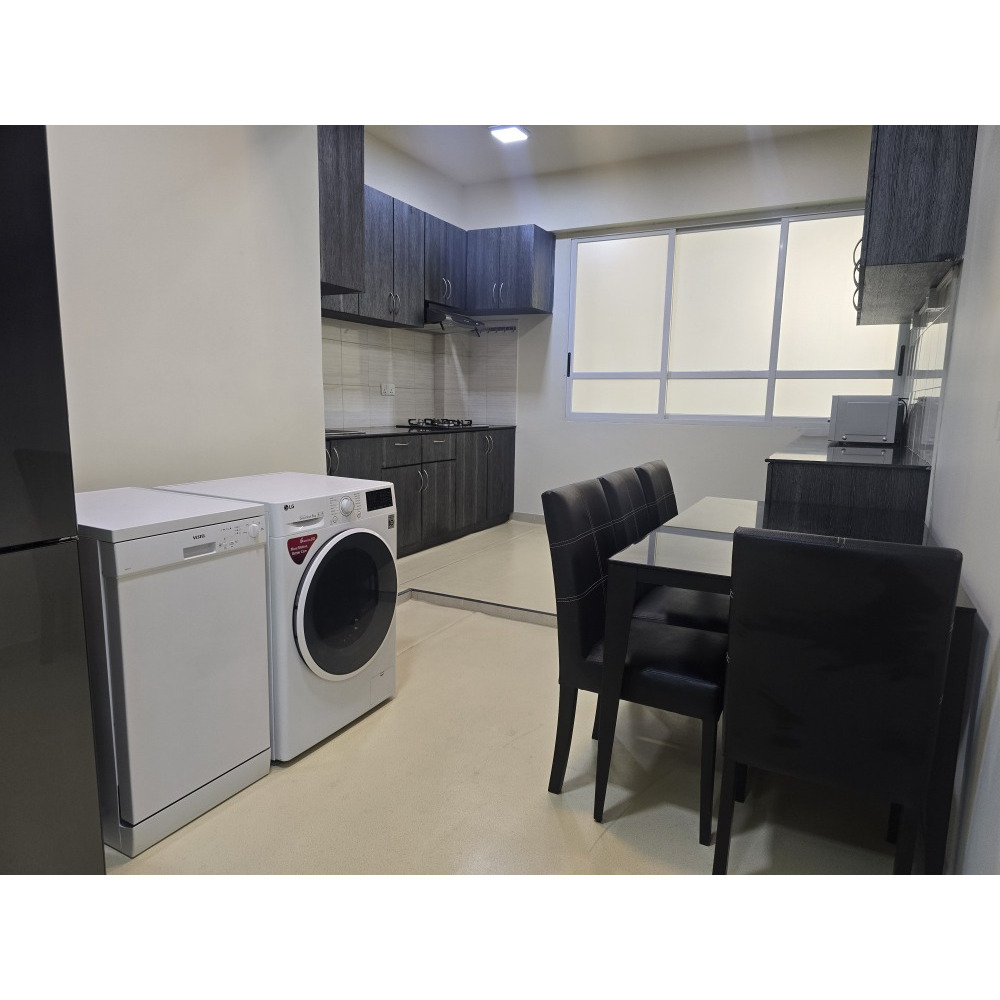 Spacious fully-furnished 3-bedroom apartment in Rehendhi — Malé — Galolhu