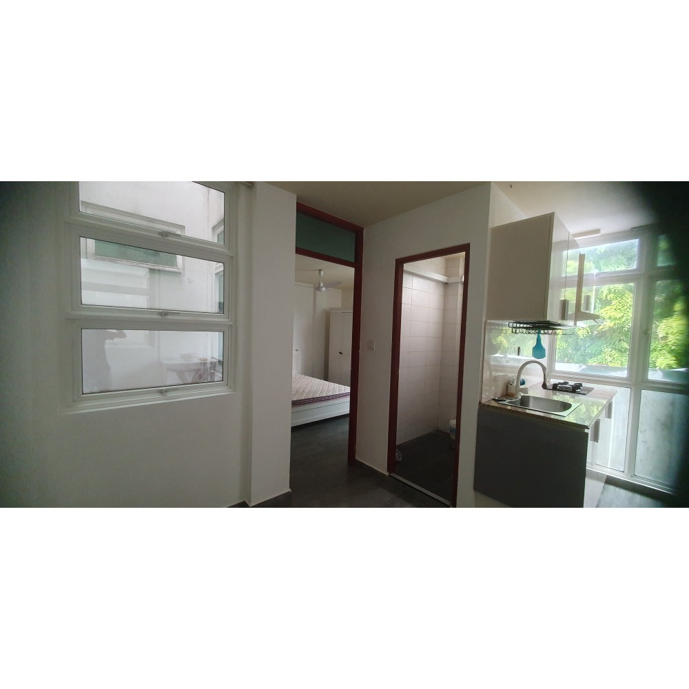 ONE ROOM FURNISHED APARTMENT FOR RENT IN VILIMALE' — Vilingili