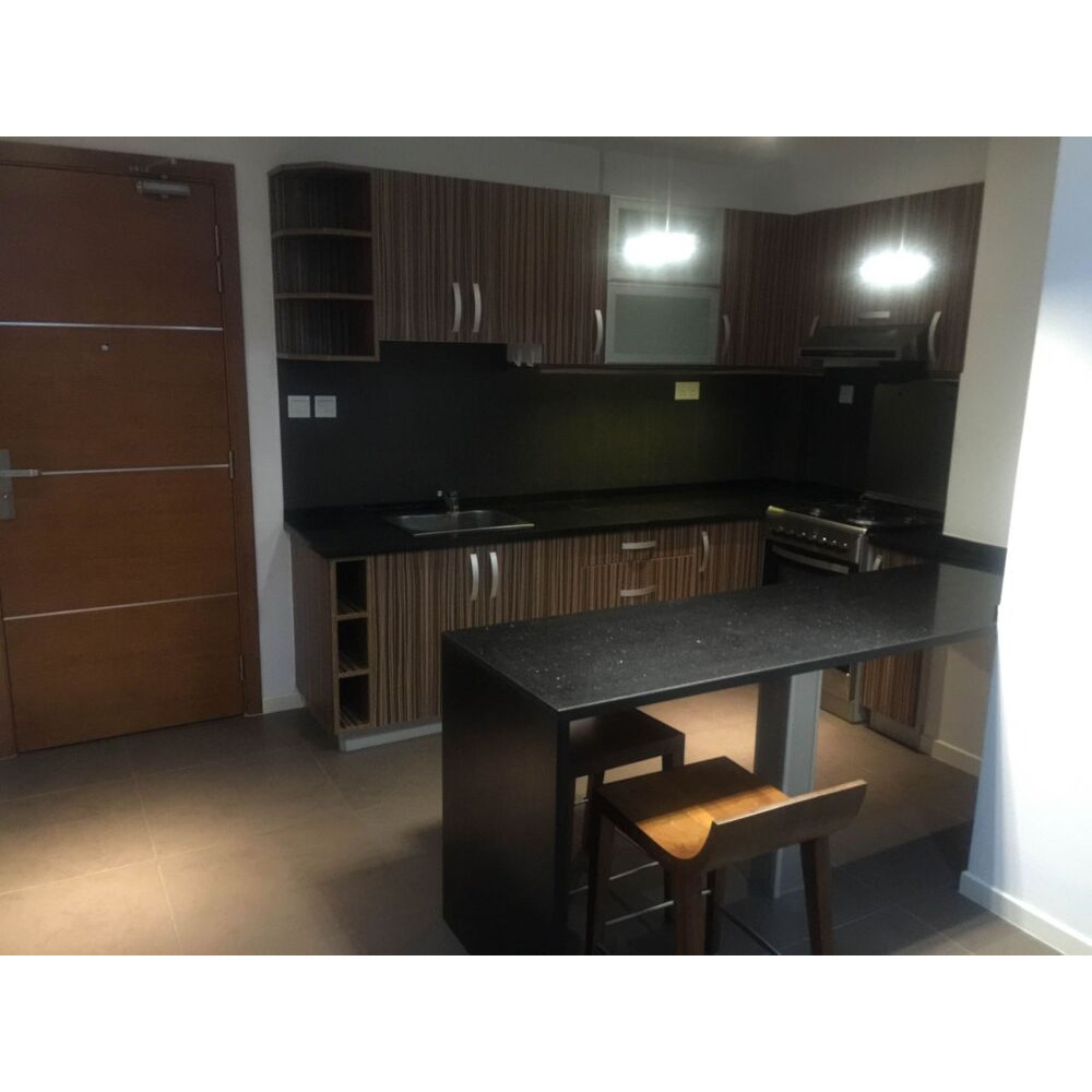 1 Bedroom Spacious Luxury Apartment - Fully Furnished - USD 1200 — Malé — Machchangolhi