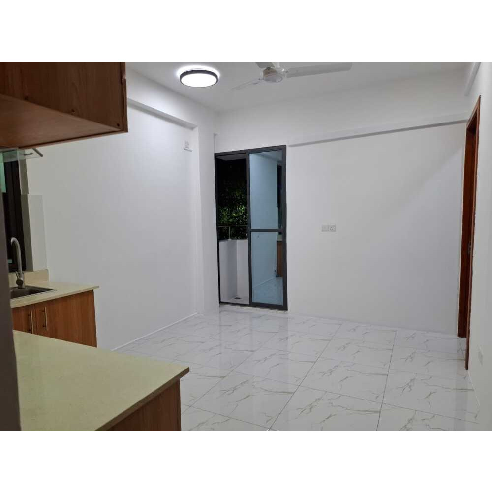 1 Bedroom Apartment from Phase 1 — Hulhumalé