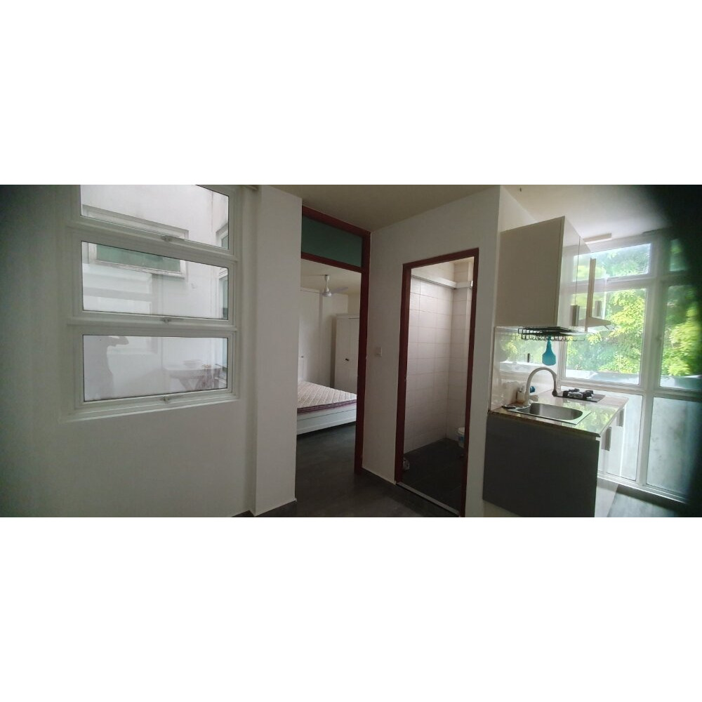 One bedroom furnished apartment for rent in Vilimale' — Vilingili