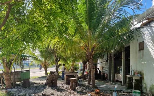 LONG TERM LEASE/RENT PROPERTY IN GN.FVM — Other