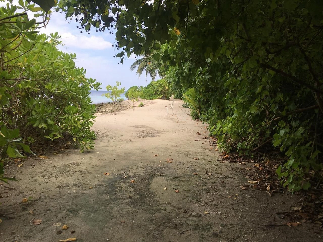 Guest Room for Rent (IS 119) — Thinadhoo