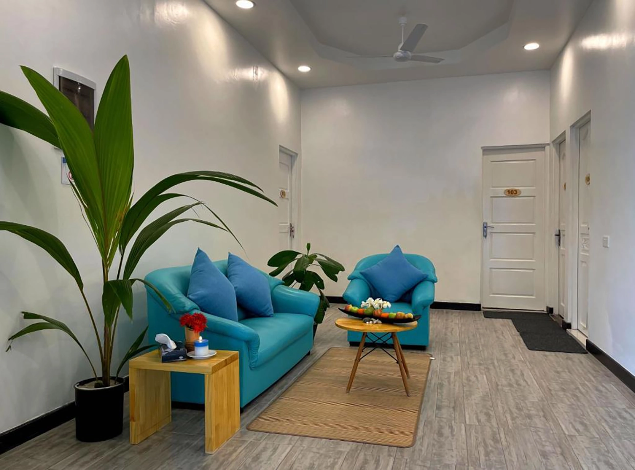 Guesthouse for Sale (IS 115) — Thulusdhoo