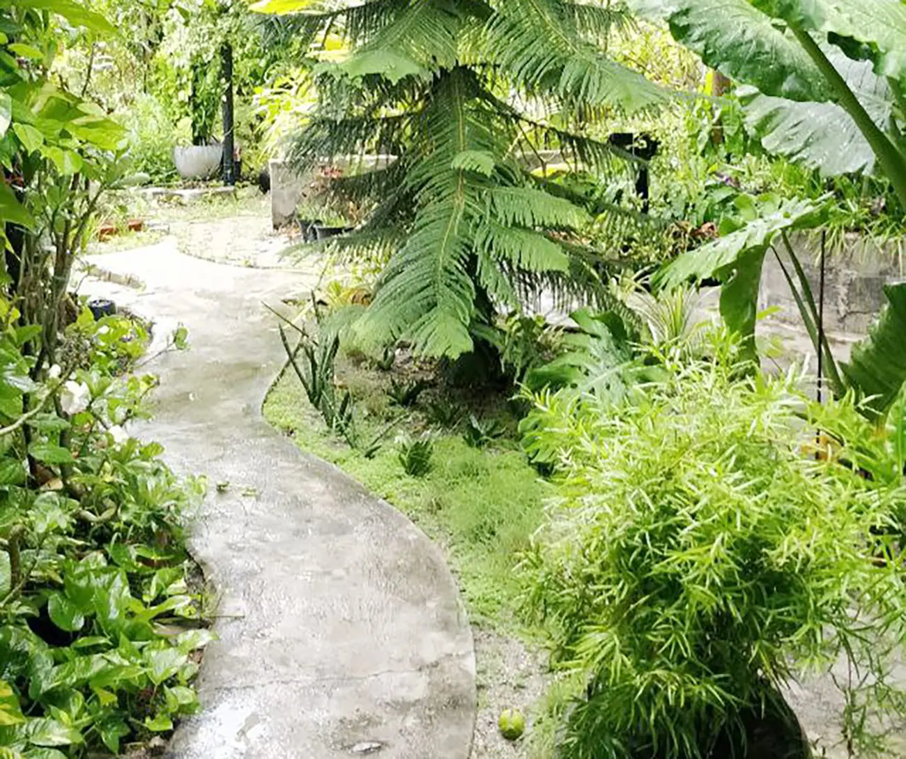 Land Plot for Sale (IS 111) — Aa. Thoddoo