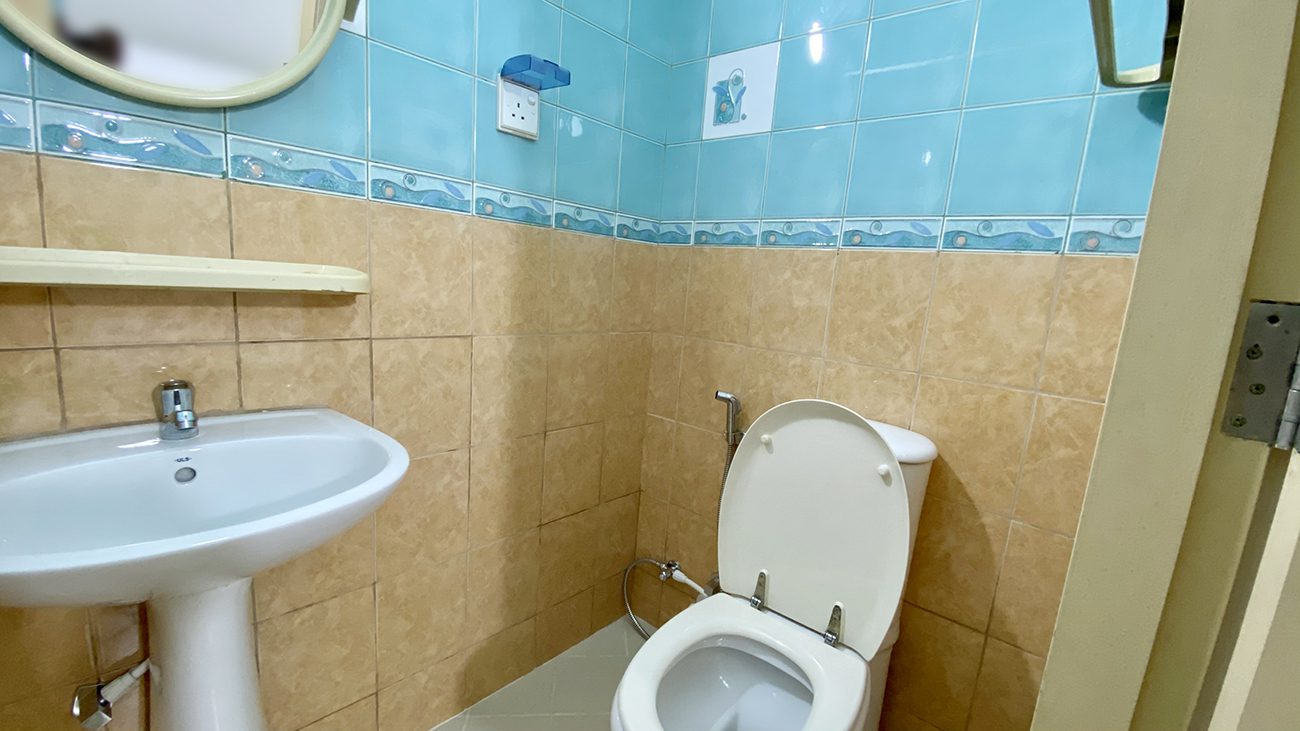 Fully furnished 1+1 BHK for Rent (ML 147) — Orchid Magu