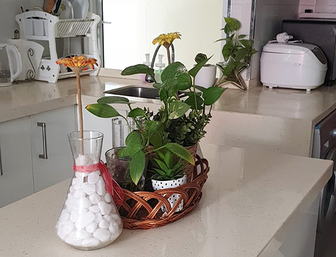Fully Furnished 2 BR for Rent (HM 223) — Hulhumalé