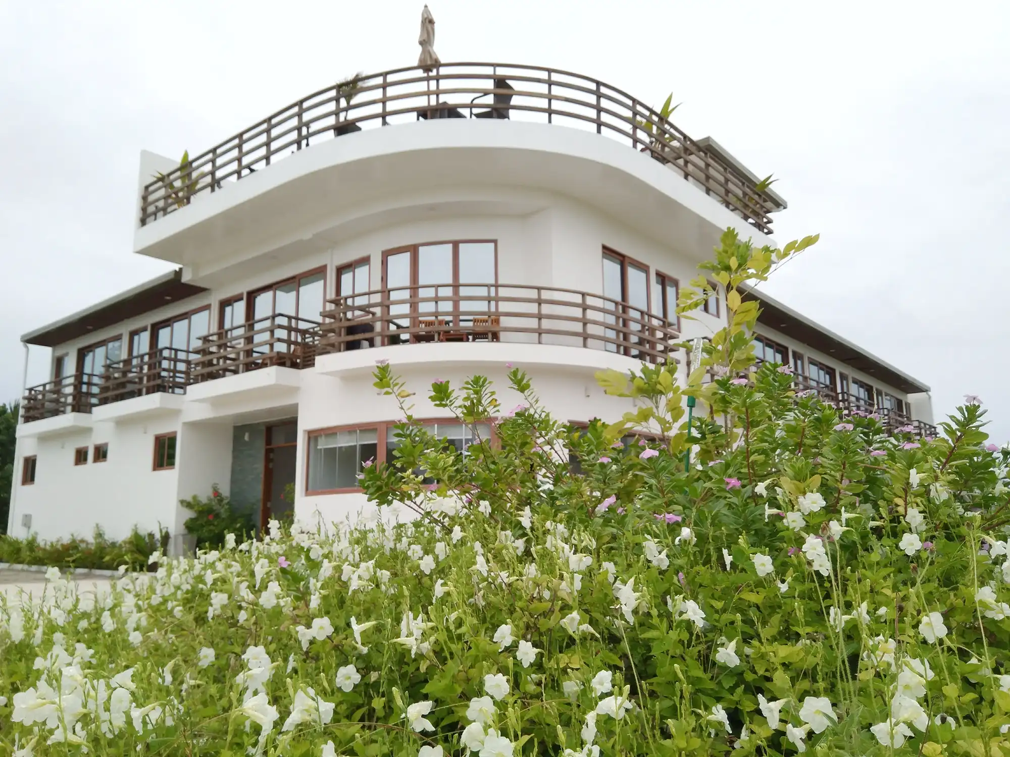 City Hotel for Sale (IS 125) — Goidhoo