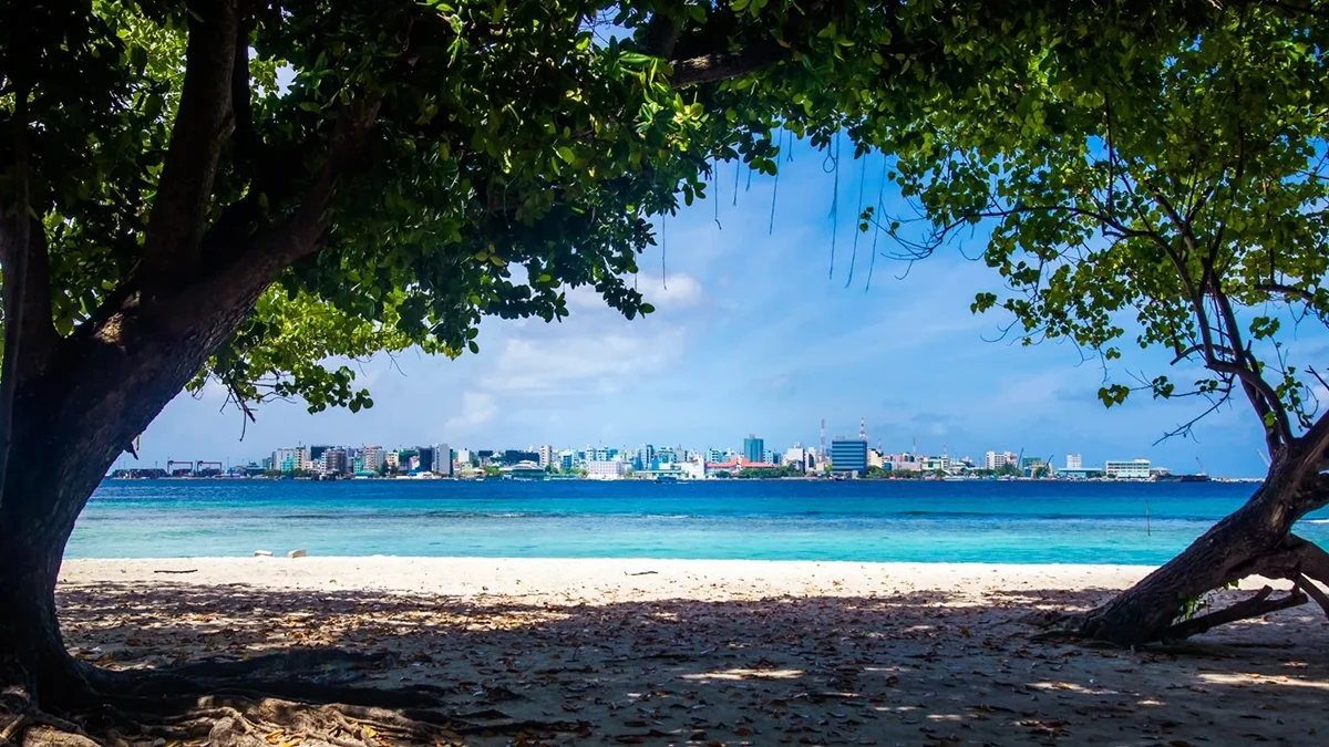 Investment Opportunity – Land Plot in Villimale’ (INV 001) — Villimale'