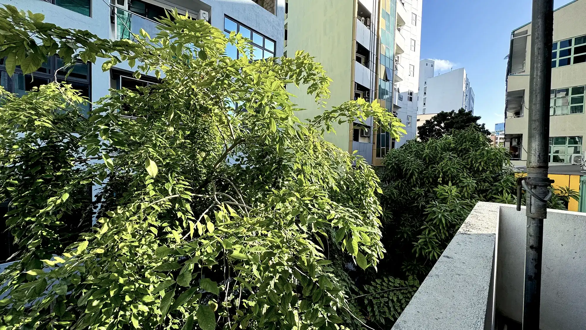 Unfurnished 3 BRs for Rent (ML 349) — Fareedhee Magu